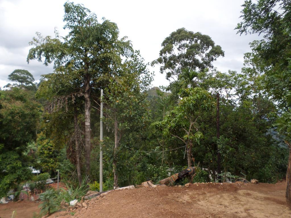 אלה Jaye Homestay מראה חיצוני תמונה